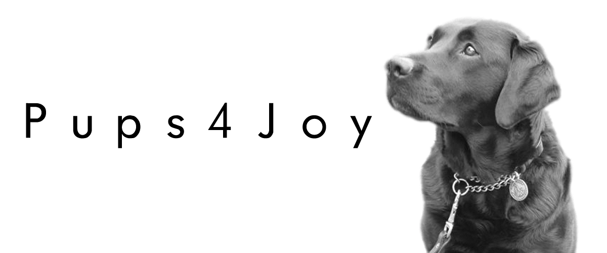 Pups4Joy