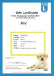 Joy Birth Certificate