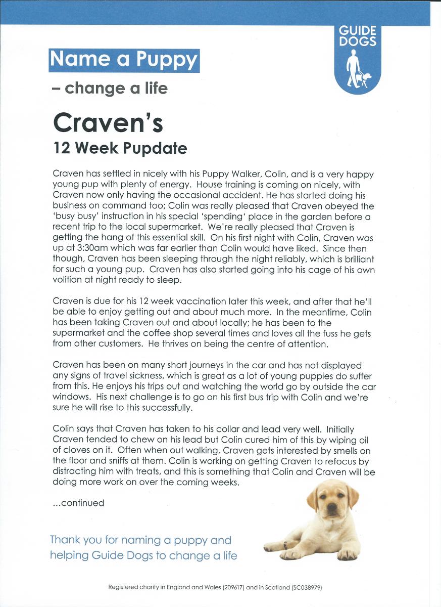 Craven 12 Weeks Old Pupdate Page 1