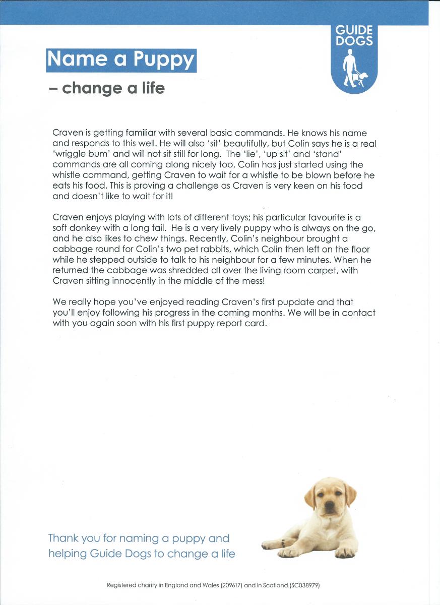 Craven 12 Weeks Old Pupdate Page 2