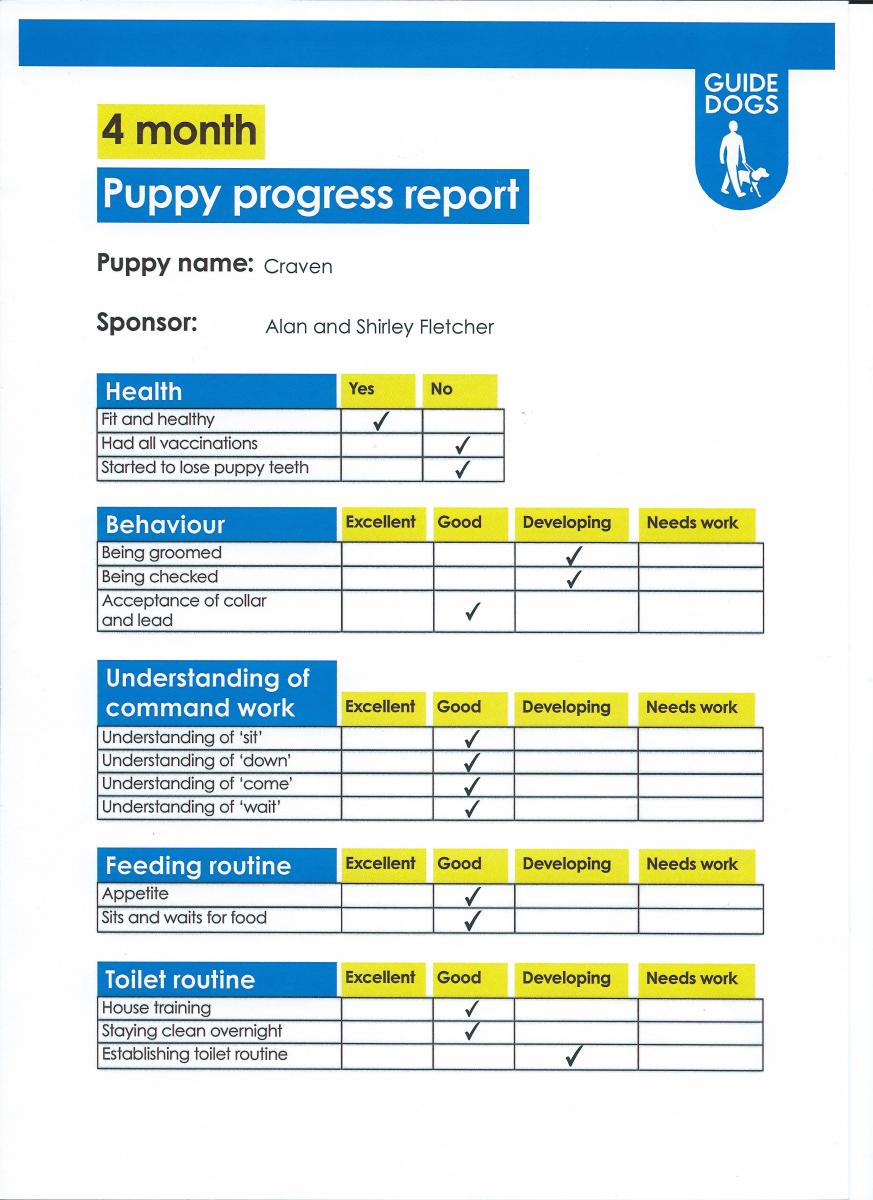 Craven - 4 Months Pupdate [Page 1]