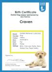 Craven Birth Certificate