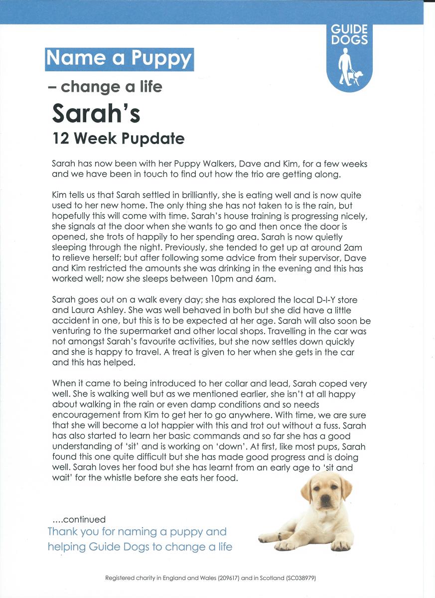 Sarah - 12 Weeks Pupdate [Page 1