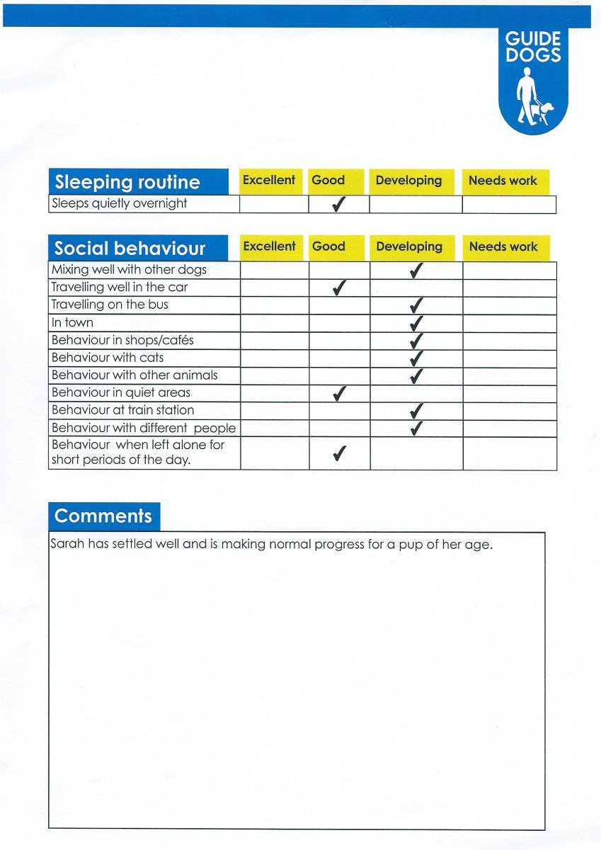Sarah - 4 Month Pupdate [Page 2]