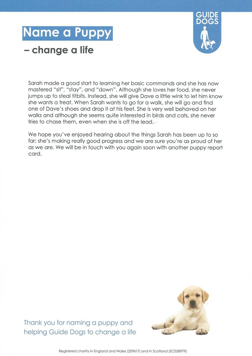 Sarah - 6 Month Pupdate [Page 2]